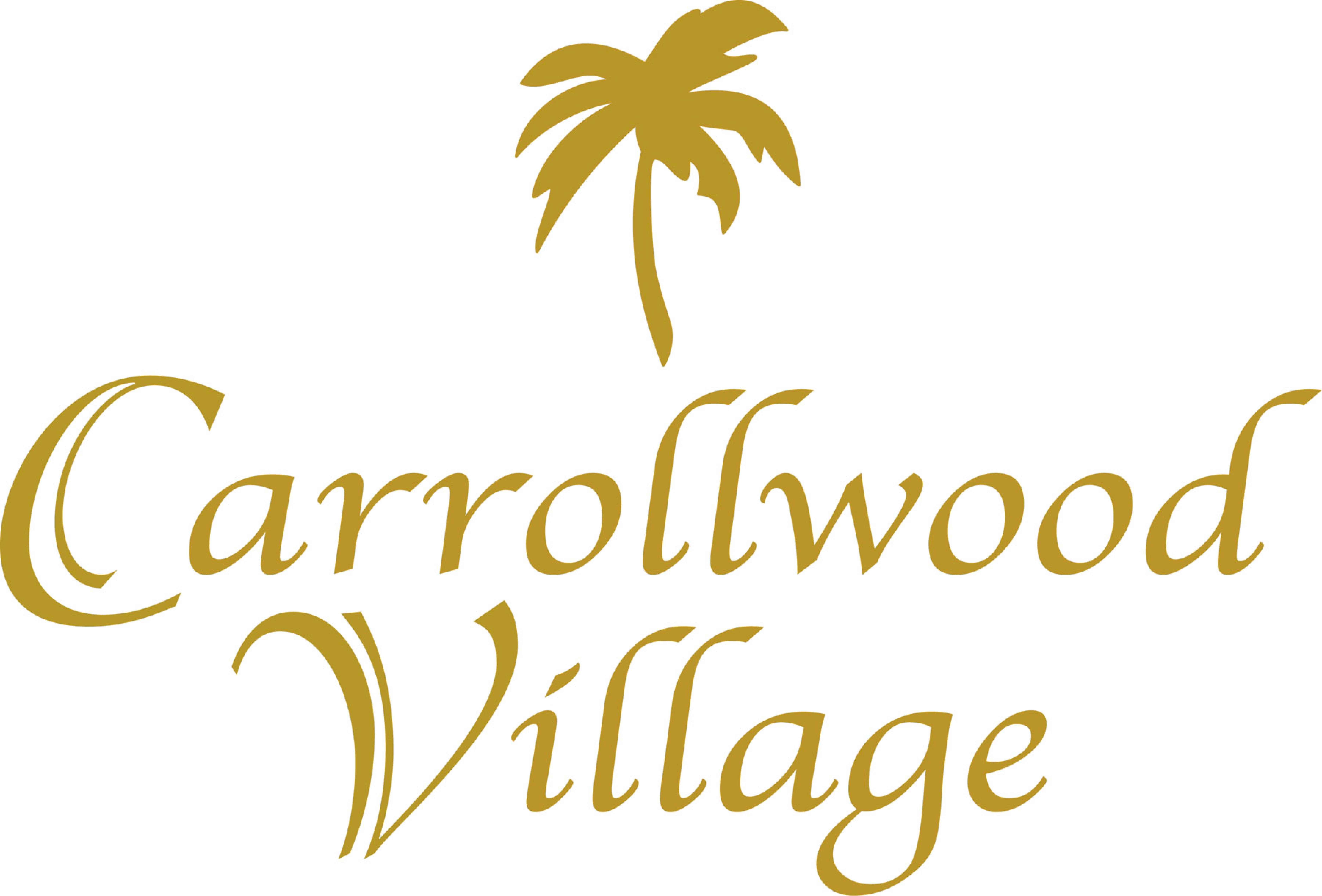 Carrollwood Village