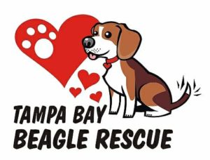 Tampa Bay Beagle Rescue logo