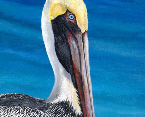 "Pelican" by Bibzi Priori