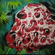 Study of a Bleeding tTooth Mushroom II by Pamela Torres