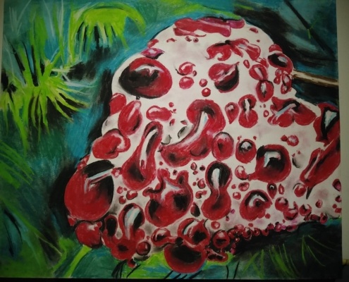 Study of a Bleeding tTooth Mushroom II by Pamela Torres
