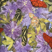 "Close up of Flowers & Butterflies" by Susan Lumsden