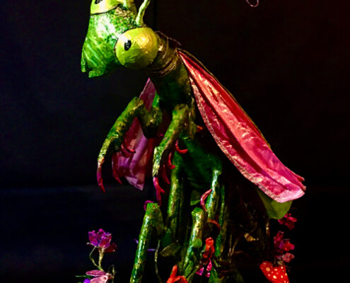 Ms Mantis by Kathy Carrier