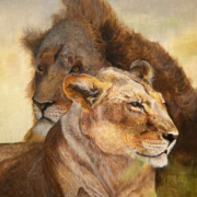 HM -Two Lions - by Sheka Kasturi