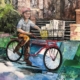 2022 Precious Faces - 1st - The Paper Boy by Deb Campbell