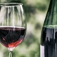 Wine bottle and glass