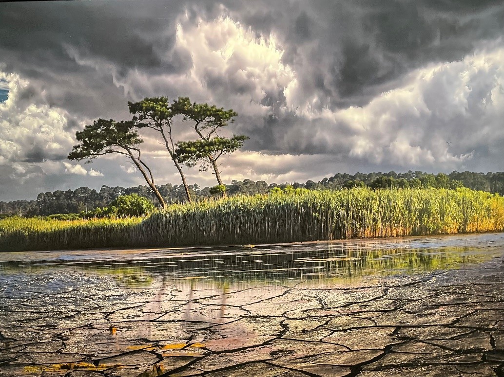 “Past, Present & Future”