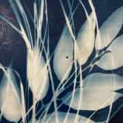 Encaustic Impressions - Breezes by Judy Pickett